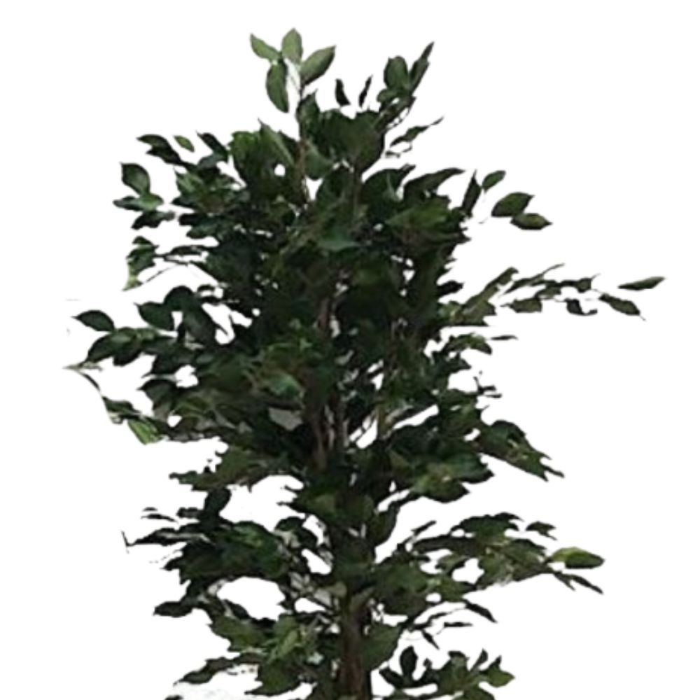 3F Piante Artificiali - V - POTHOS VARIEGATO cm 90 x 180 foglie - CADENTE -  CM 90 - 180 FOGLIE - 3F Piante Artificiali