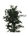 Pianta artificiale Ficus 180h 1344 foglie con vaso