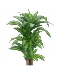 Pianta Artificiale Dracena 150h 172 Foglie con Vaso Prezzo